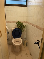 Blk 2 Ghim Moh Road (Queenstown), HDB 3 Rooms #368261971